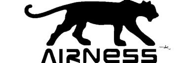 Logo airness officiel